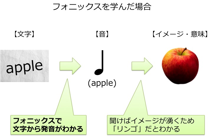 フォニックス　幼児